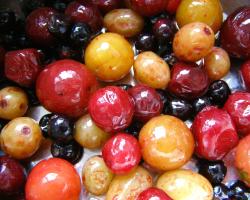 Receita de geléia de frutas congeladas Kisil de frutas vermelhas
