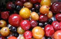 Resep jeli dari buah beri beku Kisil dari buah beri